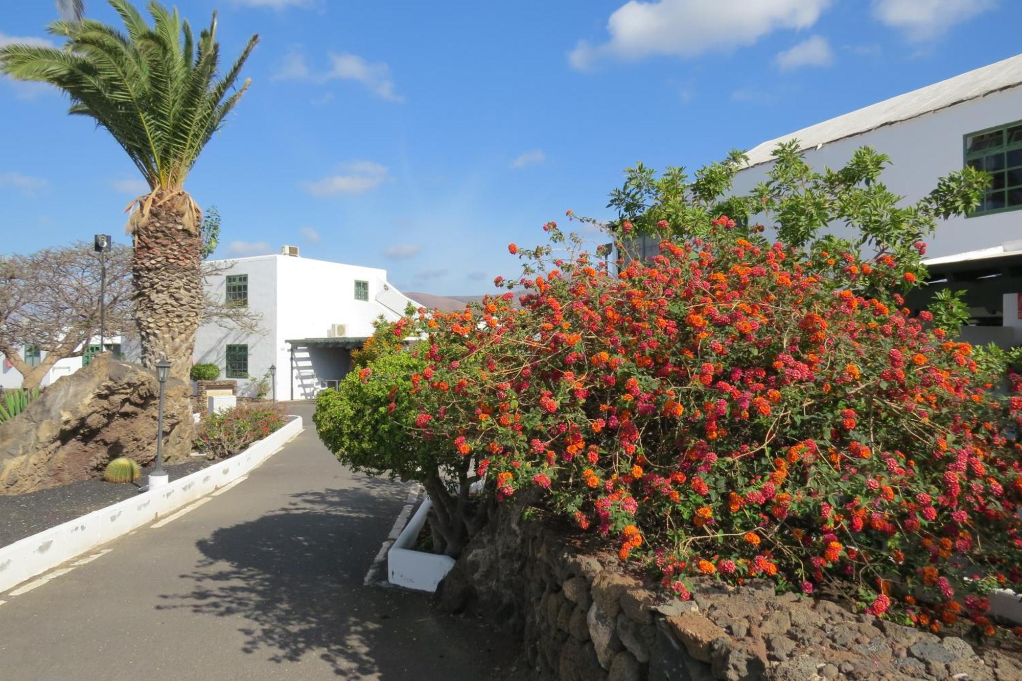 Casas Heddy, Well-Being Resort Puerto del Carmen  Eksteriør bilde